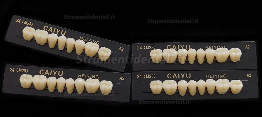 Protesi in resina polimerica sintetica acrilica Caiyu Heiying (denti posteriori superiori/inferiori)